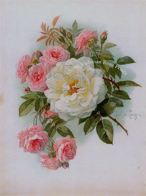 Victorian Morning Roses Print Paul De Longpre Pink White Etsy