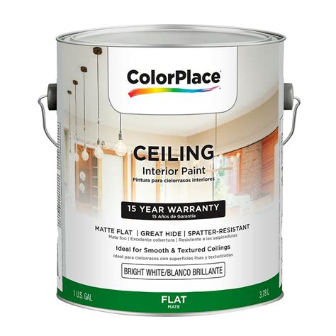 Colorplace Ceiling Interior Paint Flat Bright White 1 Gallon