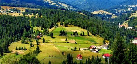 Vremea in resedintele de judet din romania. TUR FARMECUL APUSENILOR - PLECARE DIN TIMISOARA