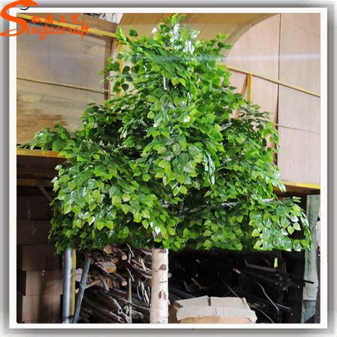 Low to high sort by price: China Artificial Decorative Silver Birch Tree Landscaping ...