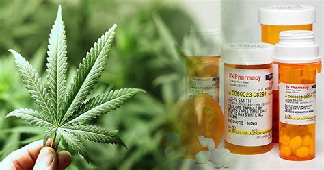 Medicinal Cannabis Is Slowly Replacing Several Prescription Medications