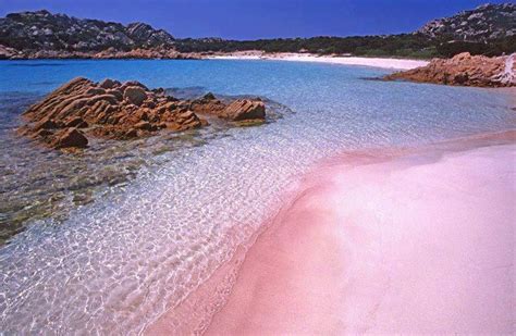 Spiaggia Rosa In Sardegna Hotel Punta Negra Pinterest Pink Beach
