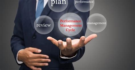 stages   performance management cycle