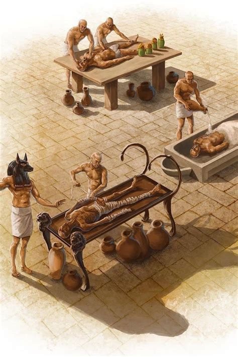 The Method Of Mummification Egyptian History Ancient Egypt Mummification Process