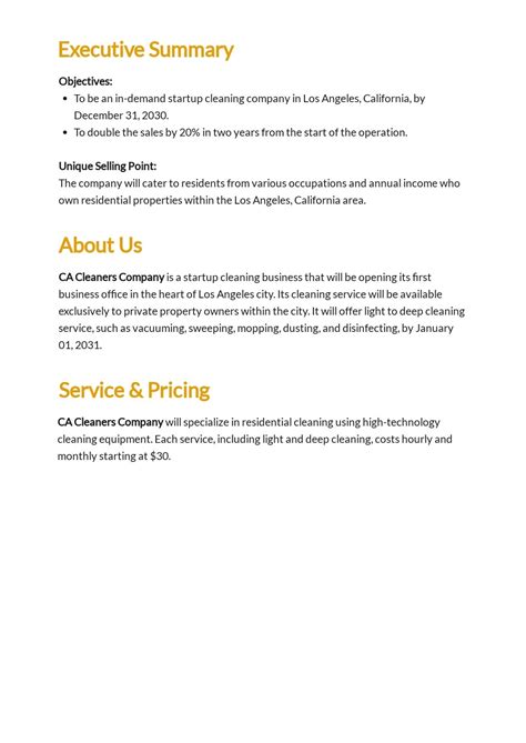 Cleaning Company Business Plan Template