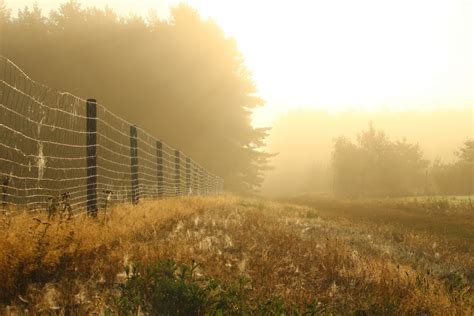 Free Images Landscape Tree Nature Horizon Fence Sun Fog