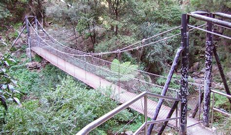 Jenolan River Walking Track Nsw National Parks