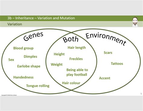 Biology Get Biology Genetic Variation 