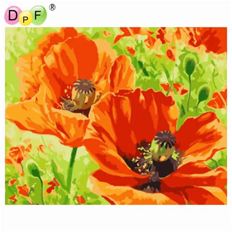 Dpf Diy Oil Painting Poppy Flowers Paint On Canvas Acrylic Coloring By