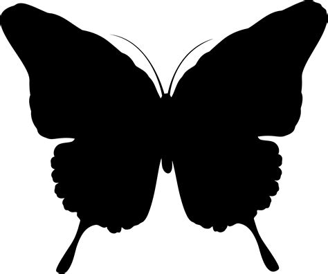 Free Butterfly Silhouette Cliparts, Download Free Butterfly Silhouette