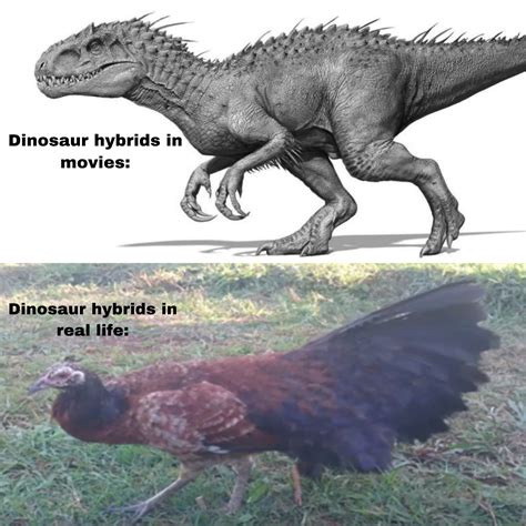 Dinosaur Hybrids Jurassic Park Know Your Meme