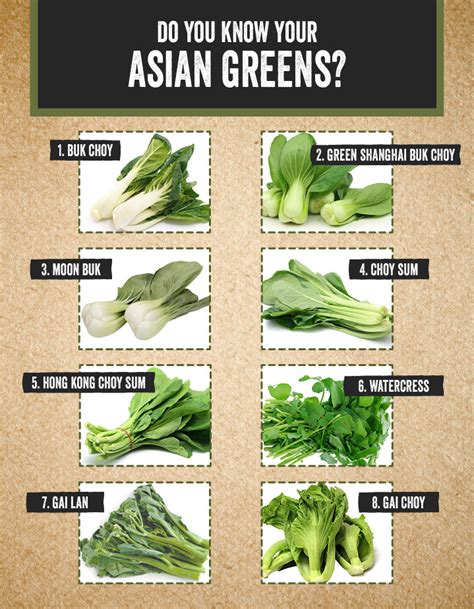 A Guide To Our Top 8 Asian Greens Harris Farm Markets