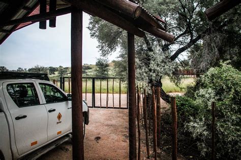 kgalagadi transfrontier park accommodation an overview of all campsites and wilderness camps