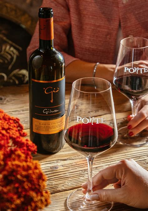 Ponte Vendita Vino Online Dal Produttore A Casa Tua