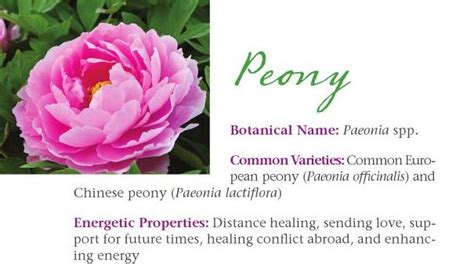 The ability to synthesize a wide variety of chemical compounds that are possibly used to perform important biological functions. Peonies and distance healing