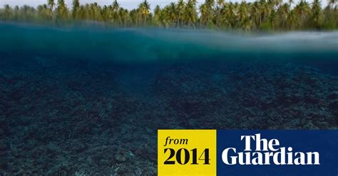 Major Coral Bleaching In Pacific May Become Worst Die Off In 20 Years