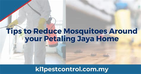 Tips To Reduce Mosquitoes Around Your Petaling Jaya Home Kl1 Pest Control
