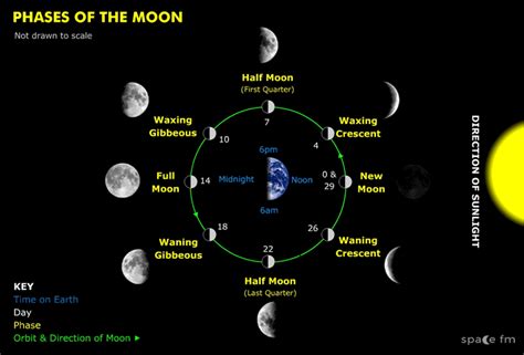 Phases Of The Moon Moon Interactions Space Fm