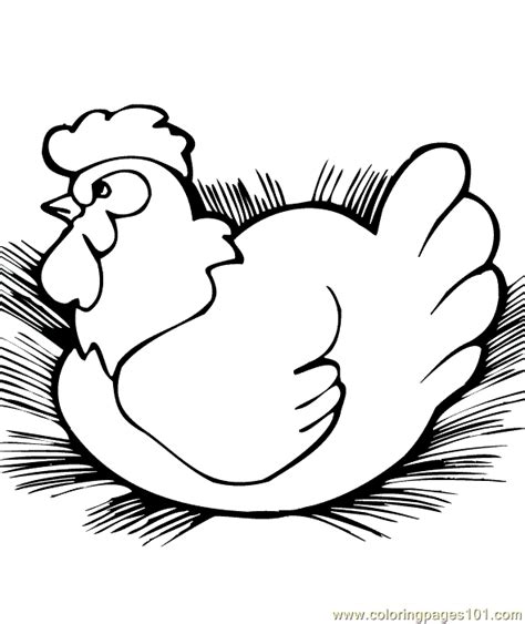 Sitting Hen Coloring Page For Kids Free Chicks Hens And