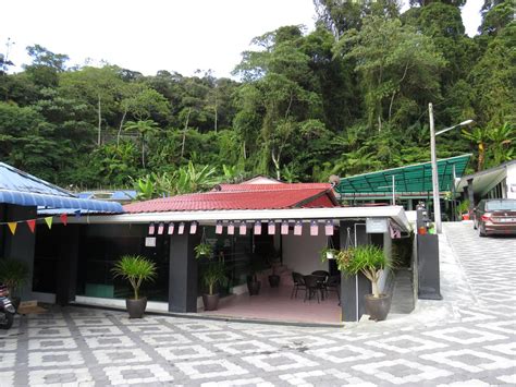 Taman sedia is the first malay settlement in cameron highlands. 6 Homestay di Kampung Taman Sedia Cameron Highland. Murah ...