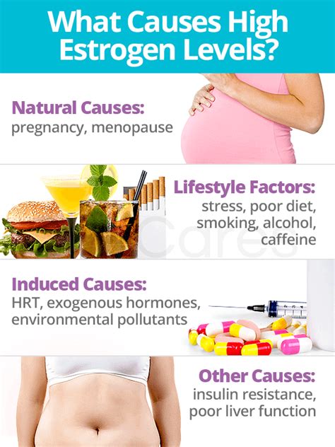 High Estrogen Levels About And Causes Shecares