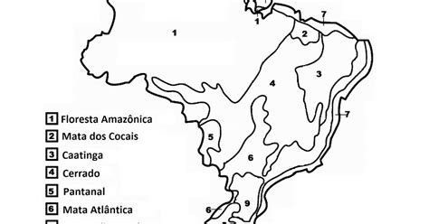 Mapa Biomas Brasileiros Para Colorir Sololearn