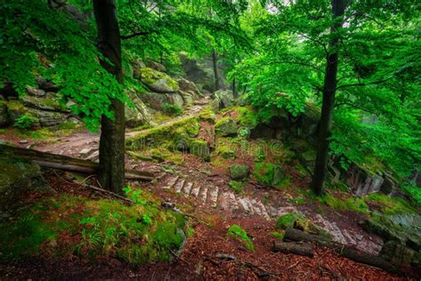 A Foggy Landscape Of Stairs From Hellish Valley To Chojnik Castle In
