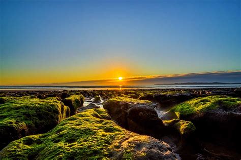 Hibiscus Coast New Zealand Red Beach Amazing Print Printed Locally