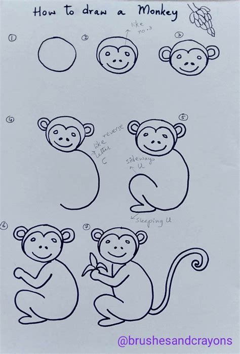 How To Draw A Monkey With Step By Step Easy To Follow Instructions