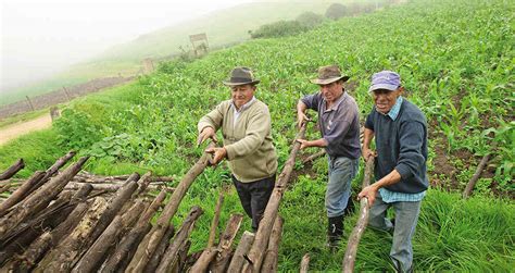 Descubre Todo Sobre La Agricultura En Colombia Y Mucho Más