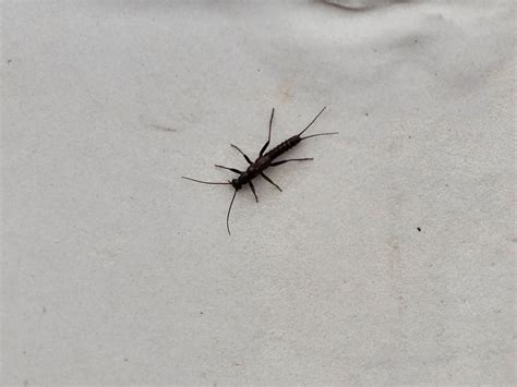 Calendar of Events — Panfish On The Fly