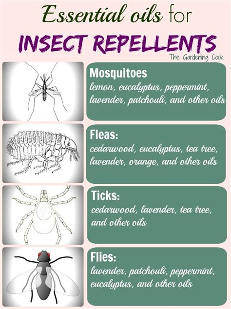 Do not apply insect repellents under clothing, on a young child's hands, near their mouth or eyes, or over cuts and irritated skin. Essential Oil Mosquito Repellent Spray - DIY Project (With ...