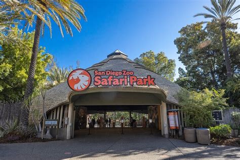 Tripadvisor San Diego Zoo Safari Park Experiência Oferecida Por San
