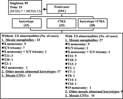 Chromosomal Mosaicism Detected By Karyotyping And Chromosomal