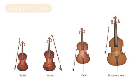 Violin Viola Cello And Bass What Is The Difference Lessons In