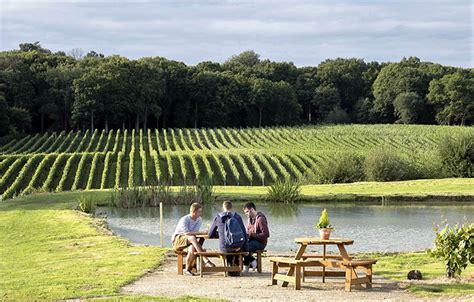 Celebrating Sussex Vineyards On English Wine Week Visit Lewes