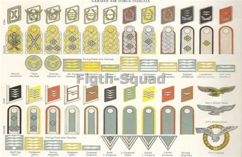 WW PICTURE PHOTO German Luftwaffe German Air Force Insignias PicClick