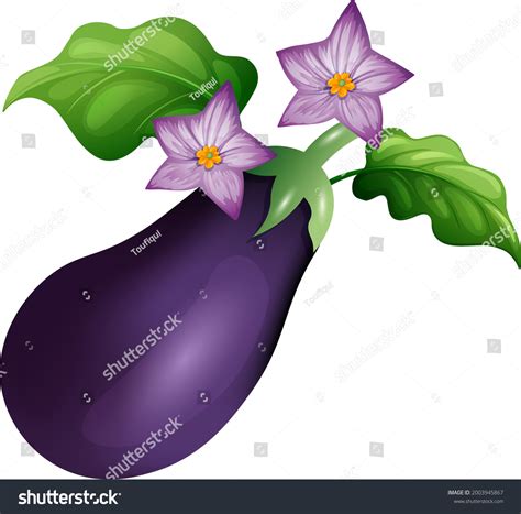 Eggplant Leaf Vector Illustration เวกเตอร์สต็อก ปลอดค่าลิขสิทธิ์