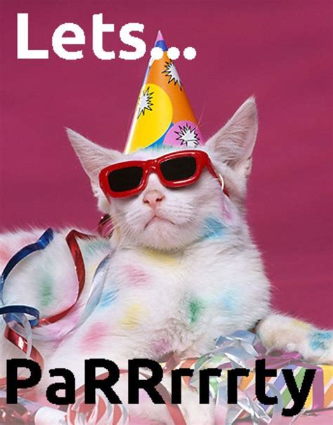 Party Animal Cat Birthday