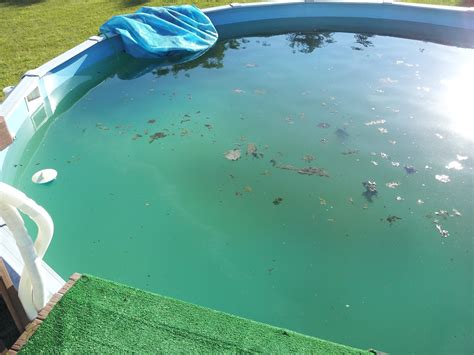 So, the yellowing was strong bleach reacting with everything in the pool. Cleaning An Above Ground Pool