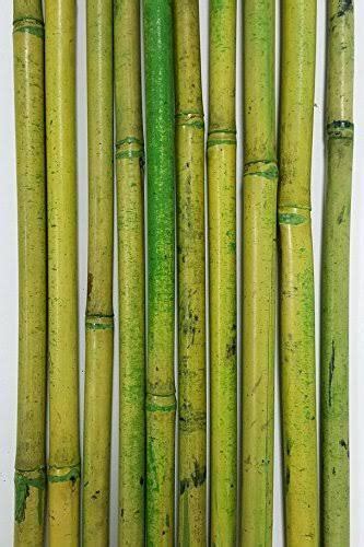 Natural or unfinished pairs should be treated in similar fashion, and from time to time wipe on a. Green Bamboo Stick at Rs 350 /pole | Bamboo Sticks | ID ...