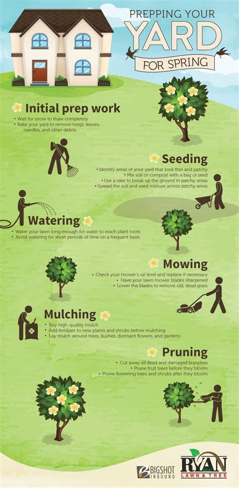 Spring Lawn Care Infographic Landscaping Around Trees Front Yard