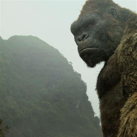 The thing about making a movie called godzilla vs. Godzilla Vs King Kong 2020 Size Comparison : Godzilla 2017 ...