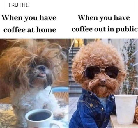Coffee In 2021 Really Funny Memes Funny Relatable Memes Crazy Funny