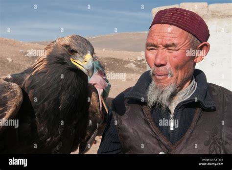 Kazakh Eagle Hunter And His Golden Eagle In The Altai Region Of Bayan