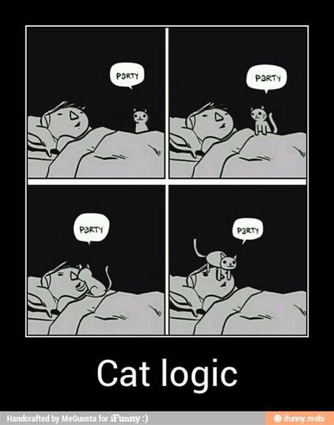 Cat Logic Funny Memes Funny Pictures Memes