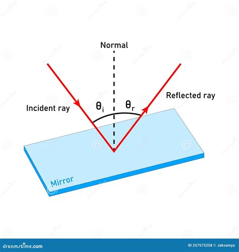 Reflection Of Light Incident Ray And Reflected Ray Diagram Vector