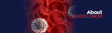 Blood Cancer Overview Positive Bioscience