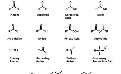 Functional Groups For Organic Chemistry Explained Organic Chemistry