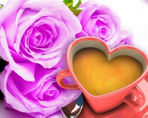 Cup Of Coffee Roses Petals Coffee Flowers Cup Hd Wallpaper Pxfuel